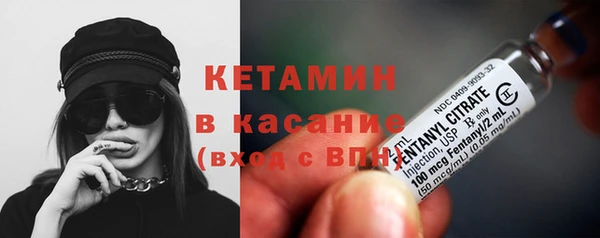 прущие грибы Абинск
