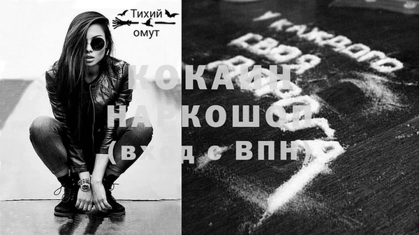 прущие грибы Абинск