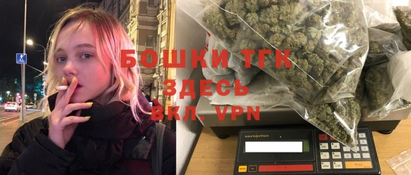 прущие грибы Абинск