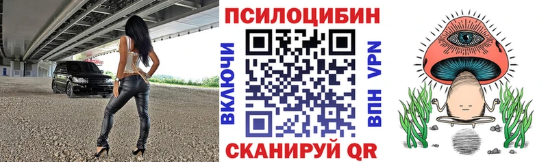 Псилоцибиновые грибы Psilocybine cubensis  Александровск 